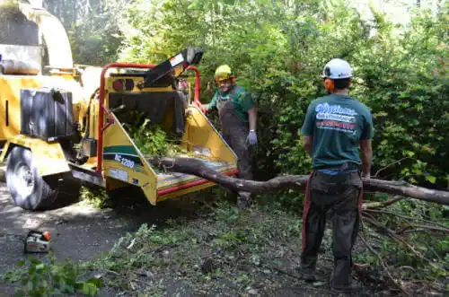 tree services Eglin AFB